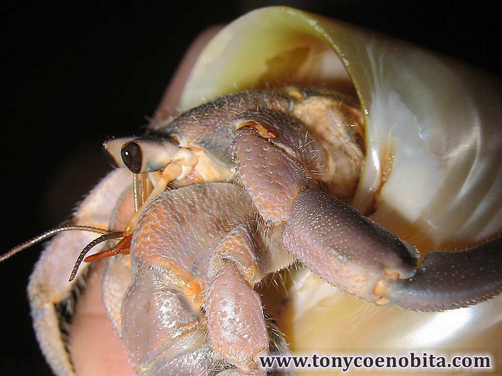 Kraken Marketplace: Безопасный доступ через Tor